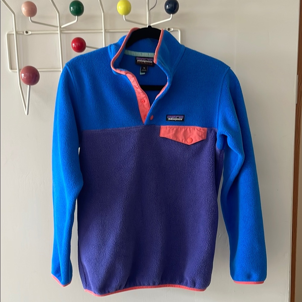 Patagonia Blue and Purple Fleece Pullover